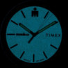 Мужские часы Timex IRONMAN Essential Tx5m16900