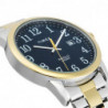 Мужские часы Timex EASY READER Date Tx2r58500