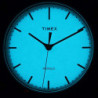 Жіночий годинник Timex FAIRFIELD Tx2r49200