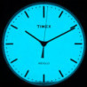 Мужские часы Timex FAIRFIELD Tx2p97700