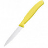 Кухонний ніж Victorinox Swiss Classic Paring 6.7606.L118