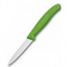 Кухонний ніж Victorinox SwissClassic Paring 6.7636.L114