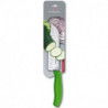 Кухонний ніж Victorinox SwissClassic Santoku 6.8526.17L4B