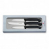 Кухонный набор Victorinox 6.7113.3G