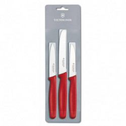 Кухонный набор Victorinox Standard Paring Set 5.1111.3