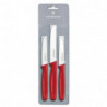 Кухонный набор Victorinox Standard Paring Set 5.1111.3