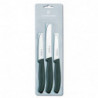 Кухонный набор Victorinox Swiss Classic Paring Set 6.7113.3
