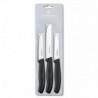 Кухонный набор Victorinox Standard Paring 5.1113.3