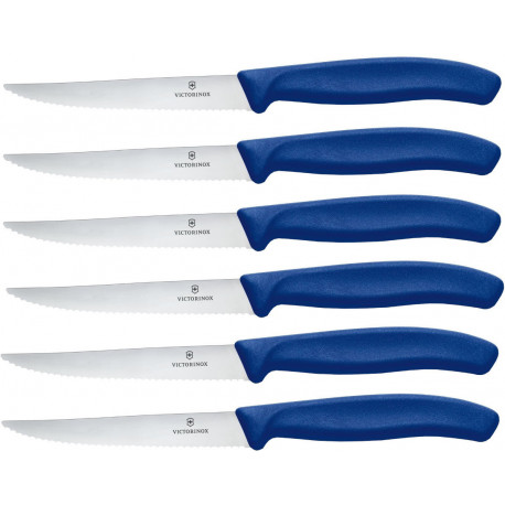 Кухонний набір Victorinox SwissClassic Steak Set 6.7232.6