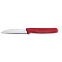 Кухонный нож Victorinox Standard Paring 5.0431