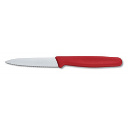 Кухонный нож Victorinox Standard Paring 5.0631