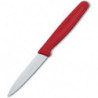 Кухонный нож Victorinox Standard Paring 5.0631