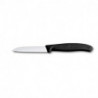 Кухонный набор Victorinox SwissClassic Cutlery Block 6.7193.9
