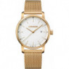 Мужские часы Wenger URBAN CLASSIC W01.1741.112