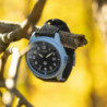 Мужские часы Timex EXPEDITION North Traprock Tx2w34300