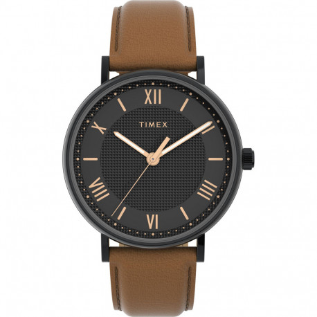 Мужские часы Timex SOUTHVIEW Tx2v91400