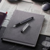 Ручка перьевая Waterman EXPERT Deluxe Metallic Stone Grey CT FP F 10 052