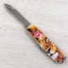 Складной нож Victorinox SPARTAN ANIMAL Лев 1.3603.7.F1010pw