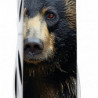 Складной нож Victorinox FIELDMASTER ANIMAL Черный медведь 1.4713.3.F1100pw
