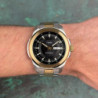 Мужские часы Timex ESSEX AVENUE Day Date Tx2y35300