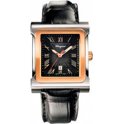 Мужские часы Salvatore Ferragamo PALAGIO Fr58lbq9509 s009