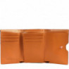 Портмоне Piquadro Ray (S126) Tobacco PD5216S126R_CU