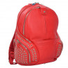 Рюкзак Piquadro Coleos (OS) CA3936OS26_R