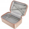 Бьюти-кейс Titan BARBARA GLINT/Rose Metallic Ti845702-15