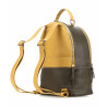 Рюкзак Piquadro HOSAKA/Yellow CA4327S108_G