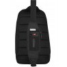 Рюкзак для ноутбука Victorinox Travel ALTMONT Professional/Black Vt606796