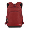 Рюкзак для ноутбука Travelite Kick Off Red TL006918-10