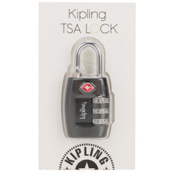 Разный дорожный аксессуар Kipling TSA LOCK/Silver K09485_981