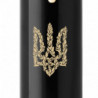 Ручка шариковая Parker IM Black GT BP Трезубец цветочный 22032_T055y