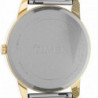 Чоловічий годинник Timex EASY READER Txg025500