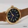 Мужские часы Timex STANDARD Tx2t20000